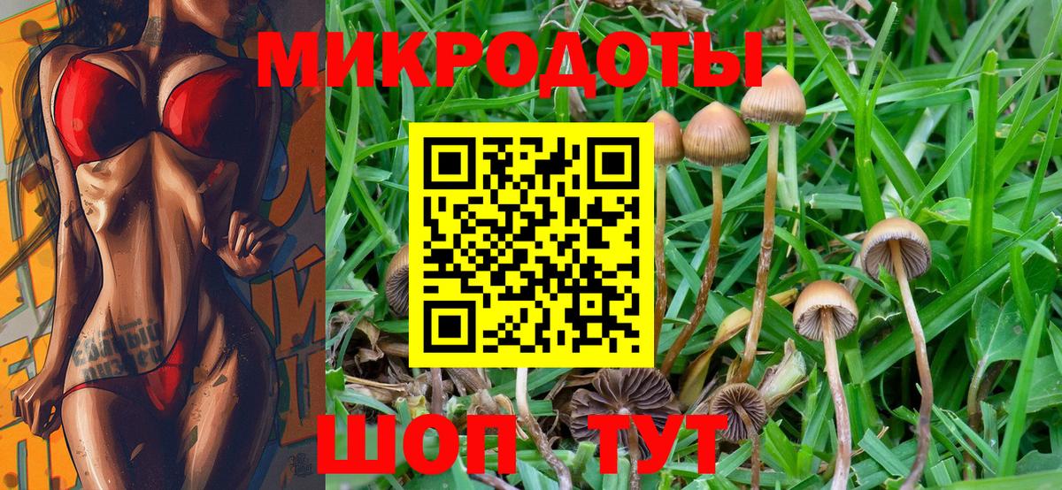 Псилоцибиновые грибы MAGIC MUSHROOMS  купить   Кумертау  Вход с VPN 