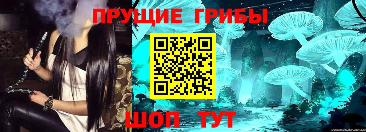 Галлюциногенные грибы Кумертау